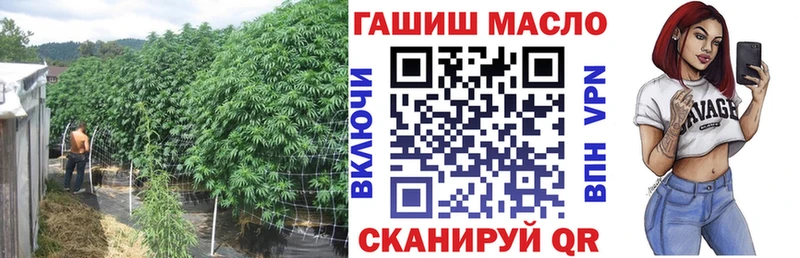 Купить закладки  Кириши  Дистиллят ТГК THC oil 